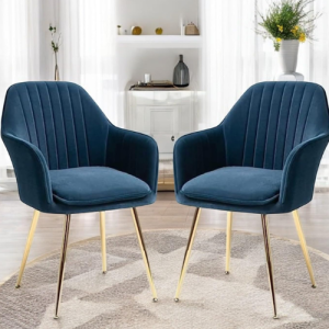 Chair King Velvet Chair for Home
