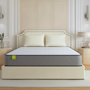 Spine Align Orthopedic Memory Foam